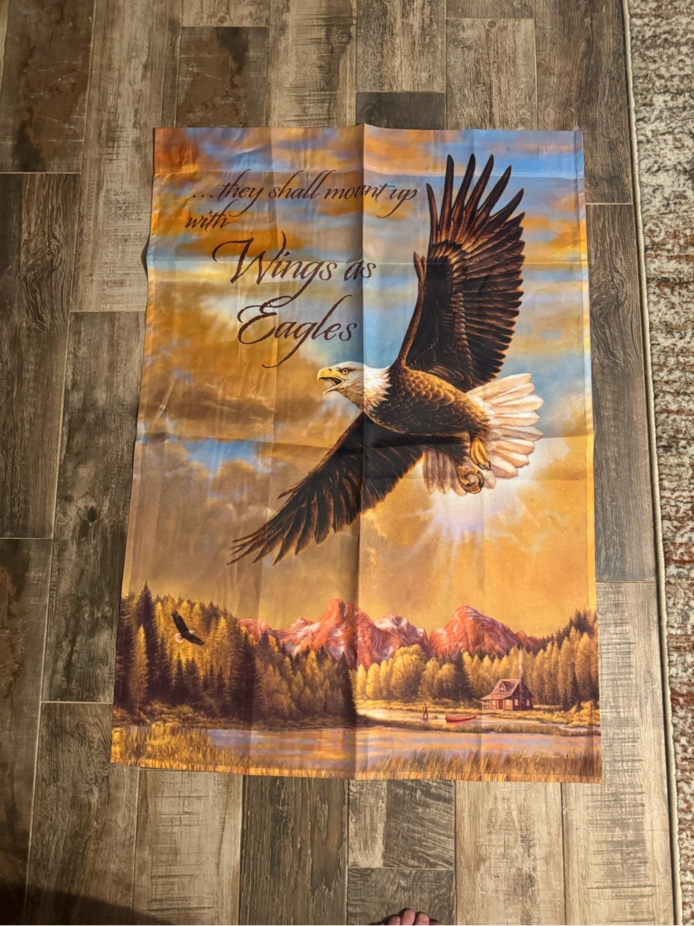 Wings as Eagles Scenic Eagle Wall house flag- Brown & Blue